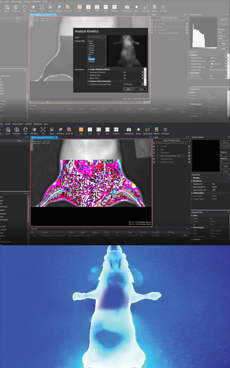 VISQUE InVivo InSight